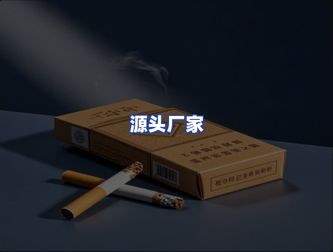 专业团队